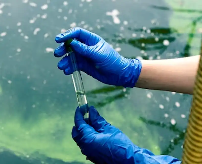 water-quality-testing-umwelt-research-lab